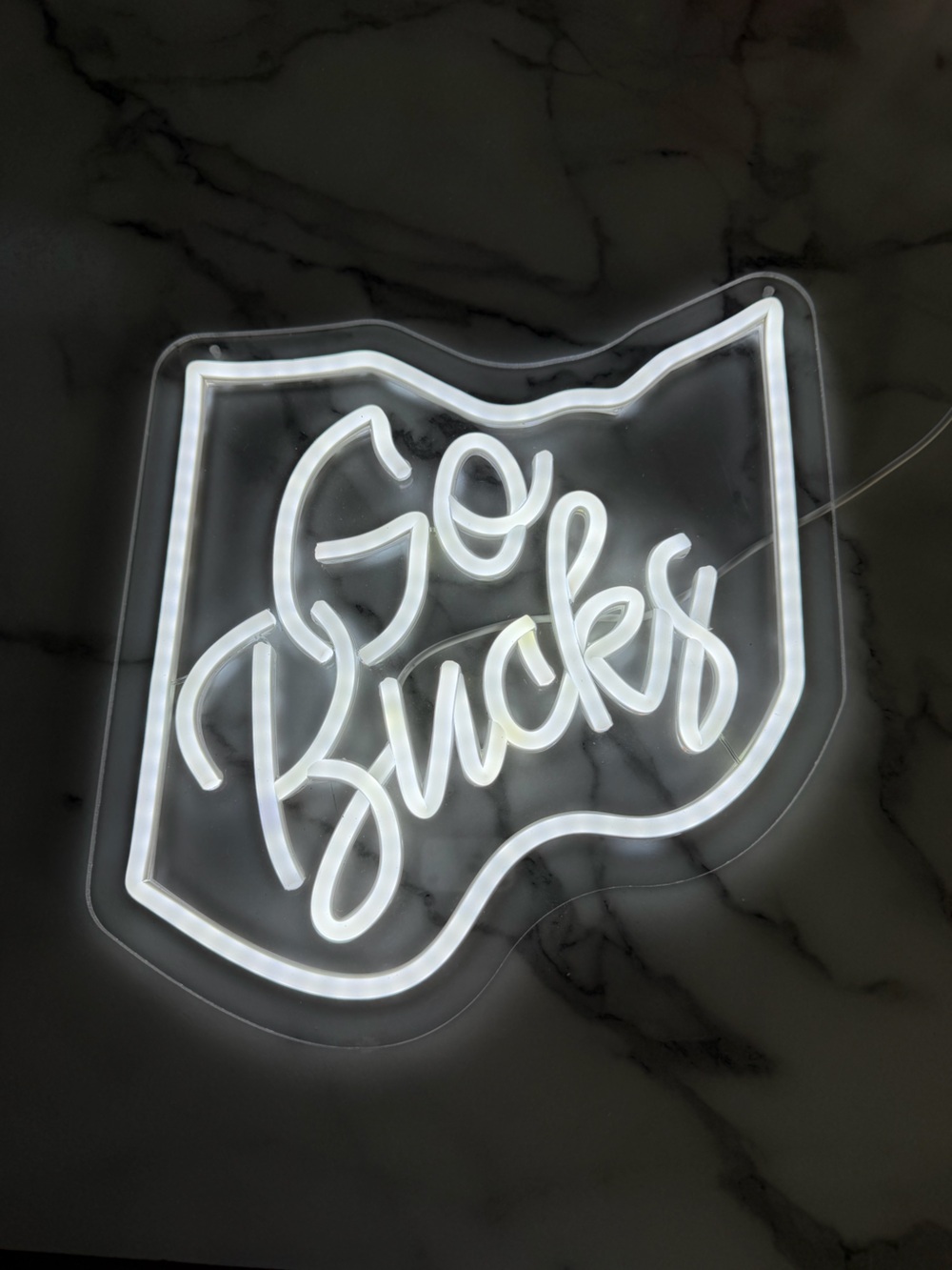 Ohio-shaped "Go Bucks" white LED neon light wall sign